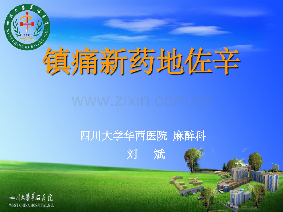 地佐辛注射液.ppt_第1页