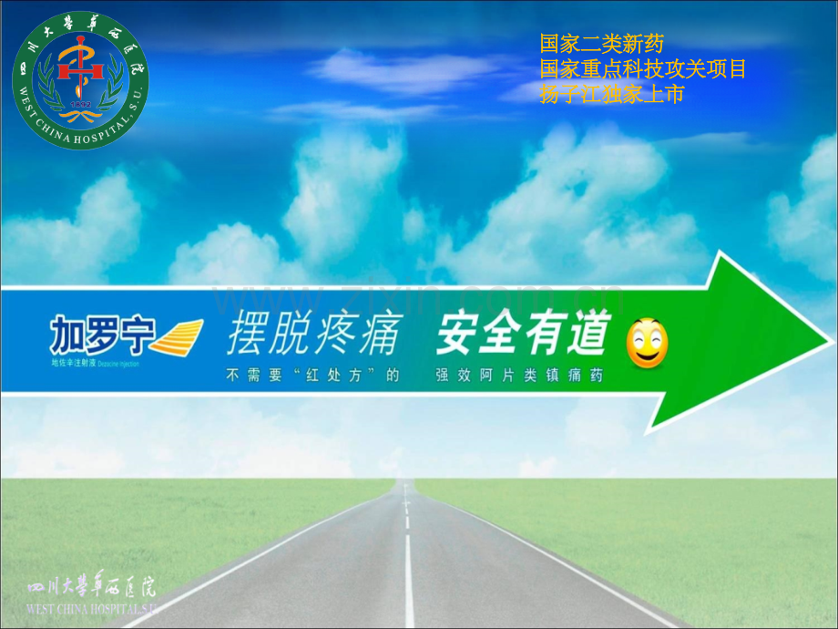 地佐辛注射液.ppt_第2页