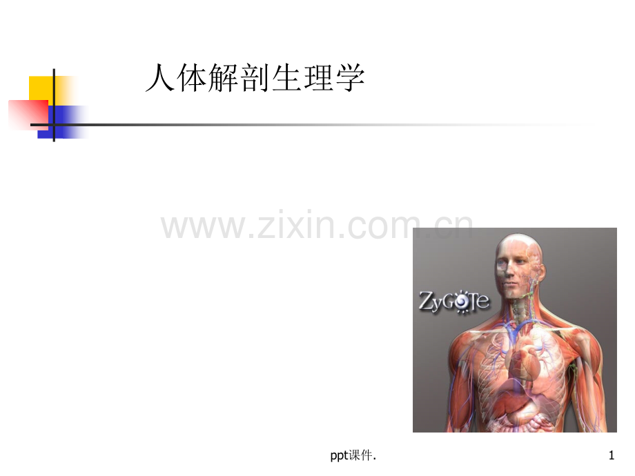 人体解剖生理学第一章绪论.ppt_第1页