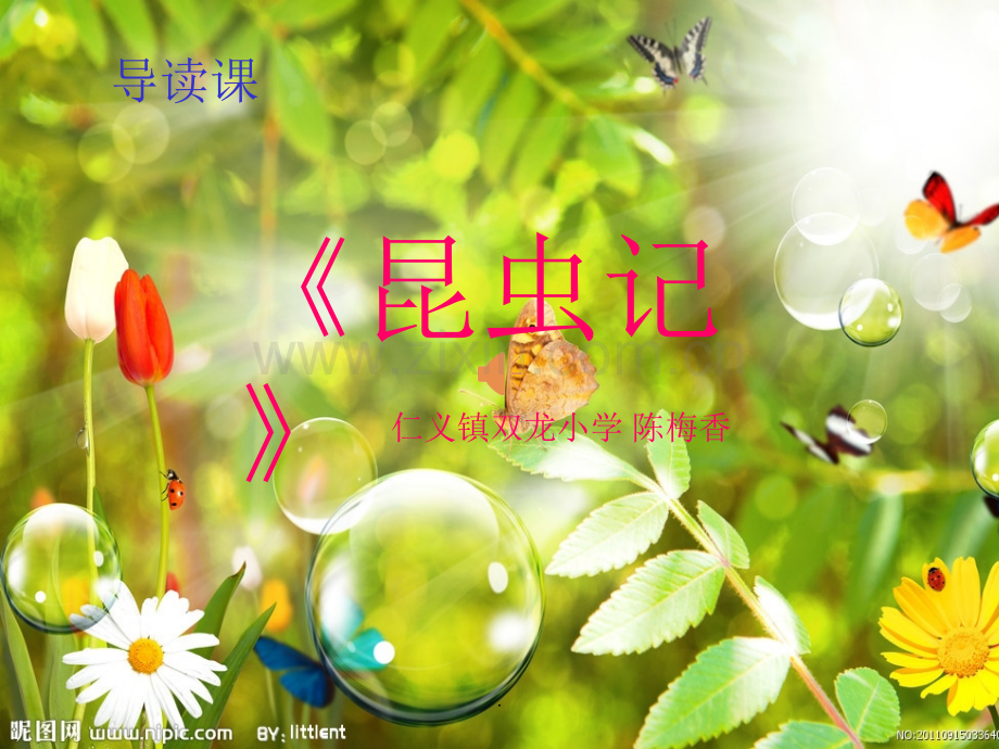 《昆虫记》导读课.ppt_第2页