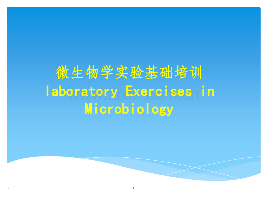 微生物基础实验培训.ppt_第1页