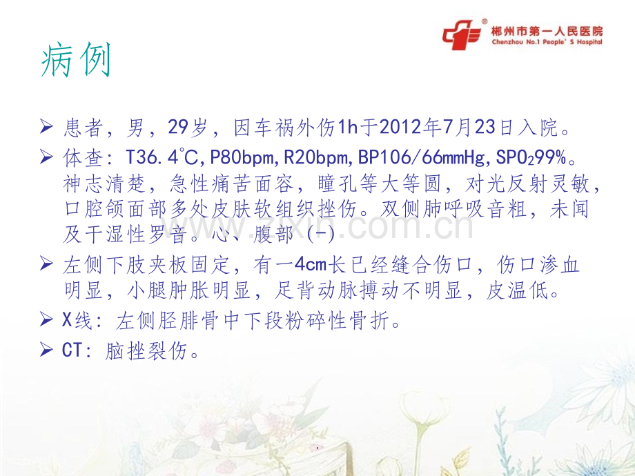 急性肺栓塞.ppt_第2页