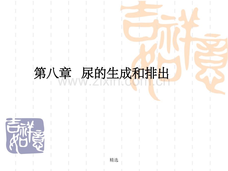 生理学-第八章-肾脏的排泄功能.ppt_第1页