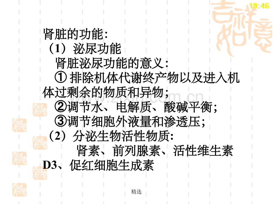 生理学-第八章-肾脏的排泄功能.ppt_第2页