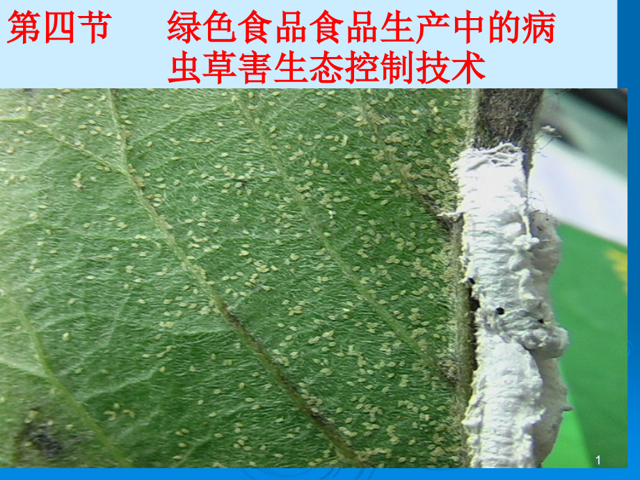 生态控制技术.ppt_第1页