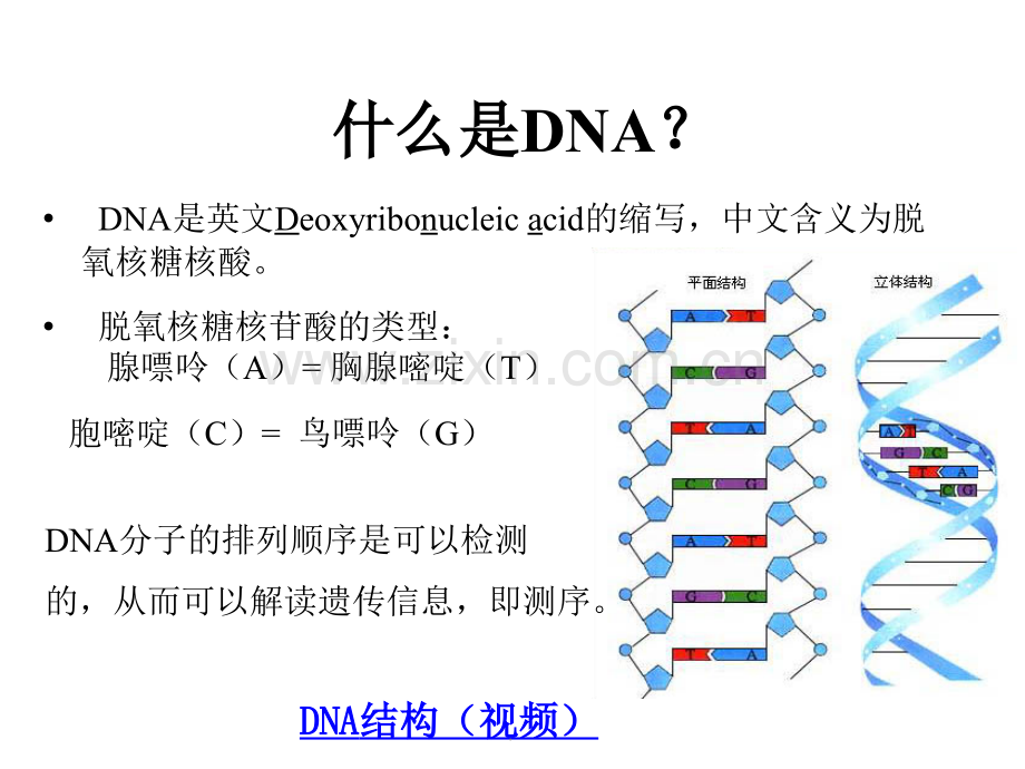 第三代基因测序原理及应用.ppt_第2页