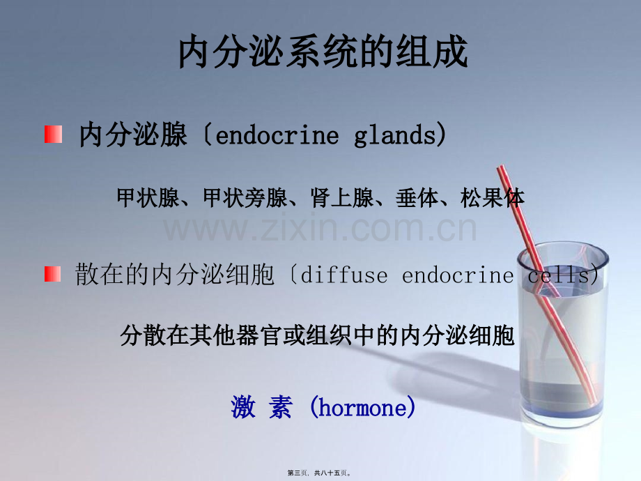 内分泌系统----组织学与胚胎学.pptx_第2页