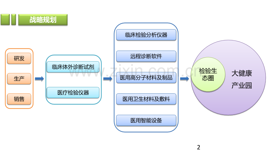 宫颈染色产品培训.ppt_第2页