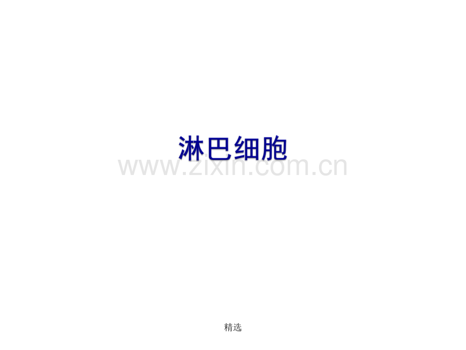 淋巴细胞与异型淋巴细胞.ppt_第1页