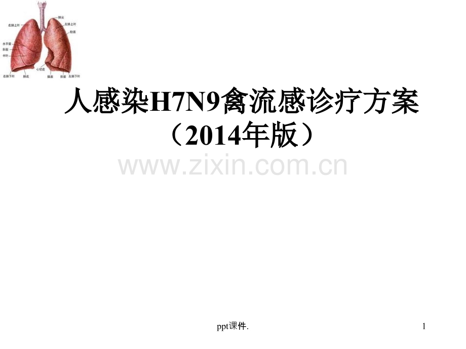 人感染H7N9治疗方案.ppt_第1页