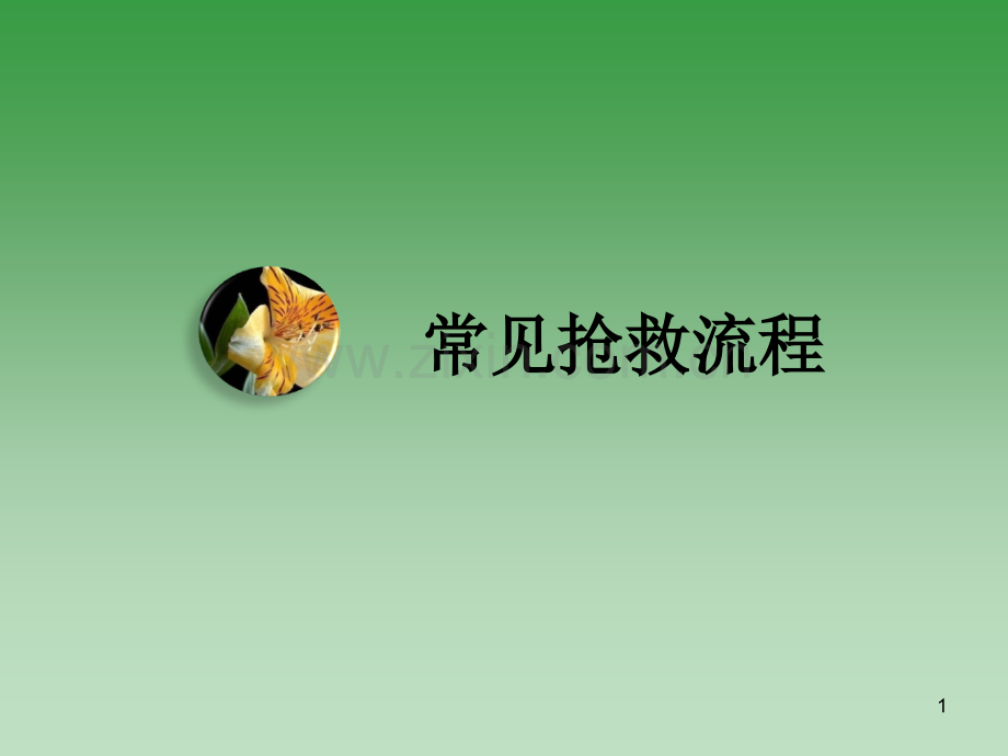 急诊抢救流程图.ppt_第1页