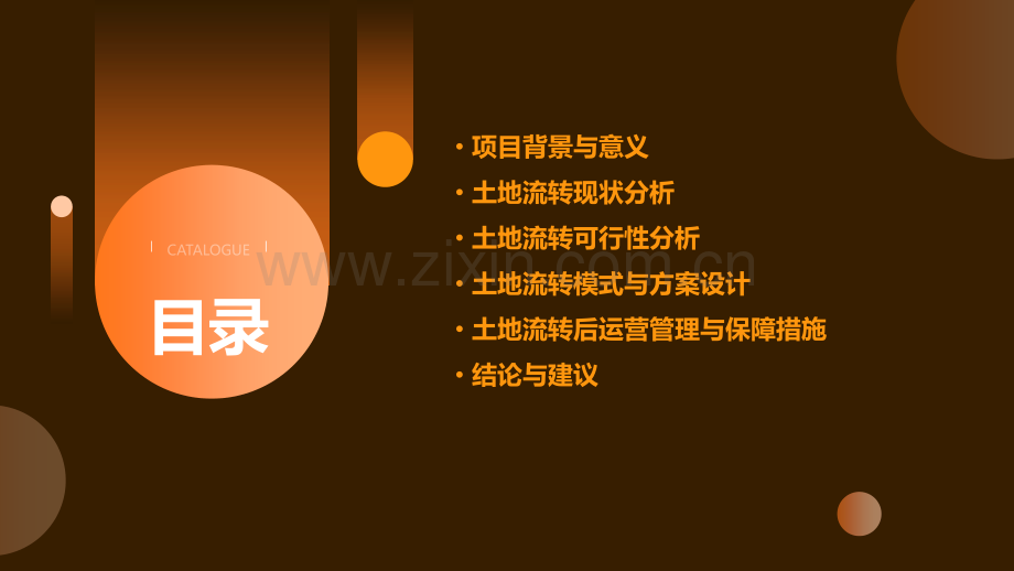 土地流转可行性报告.pptx_第2页