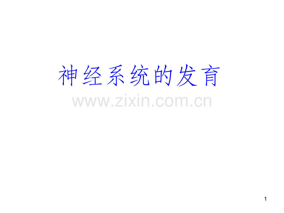 神经元的迁移.ppt_第1页