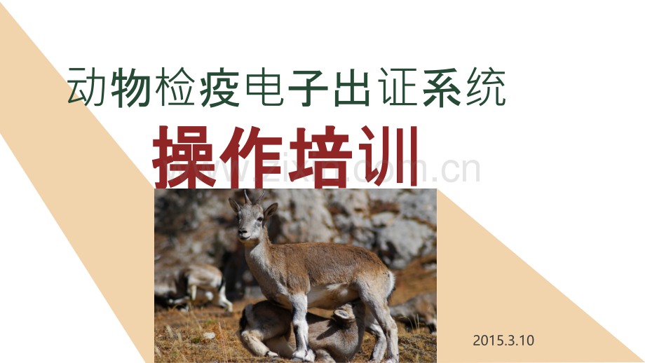 总结汇报、答辩模板.ppt_第1页