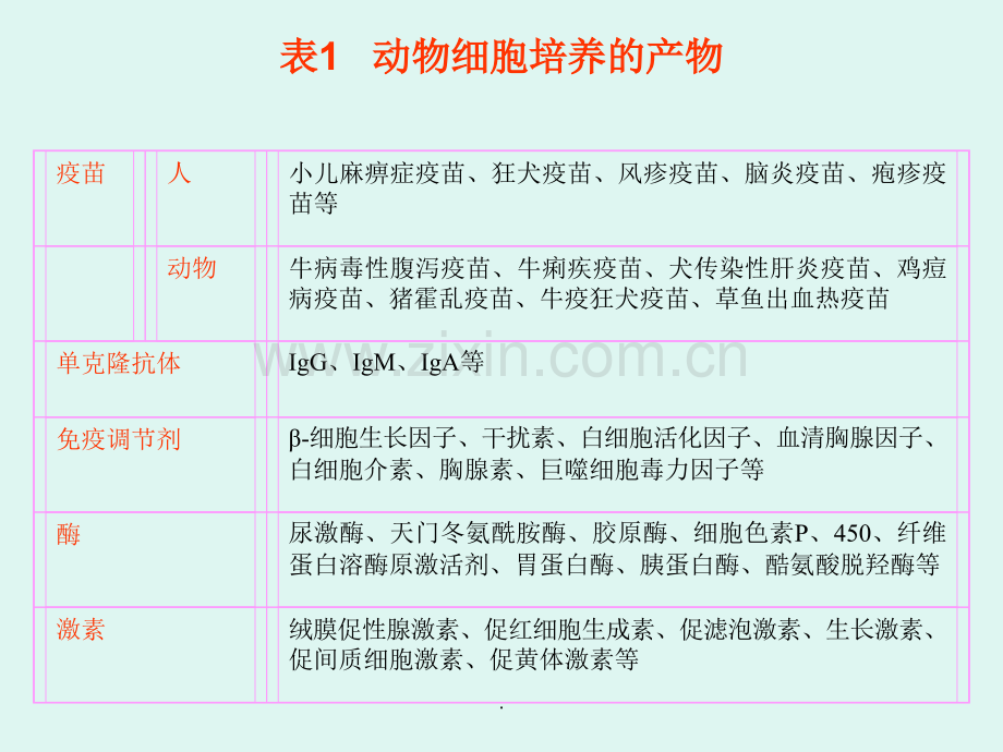 动物细胞培养的应用.ppt_第2页