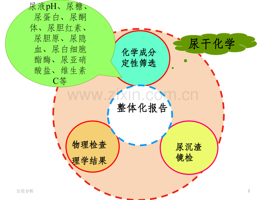 尿液常规解析.ppt_第2页