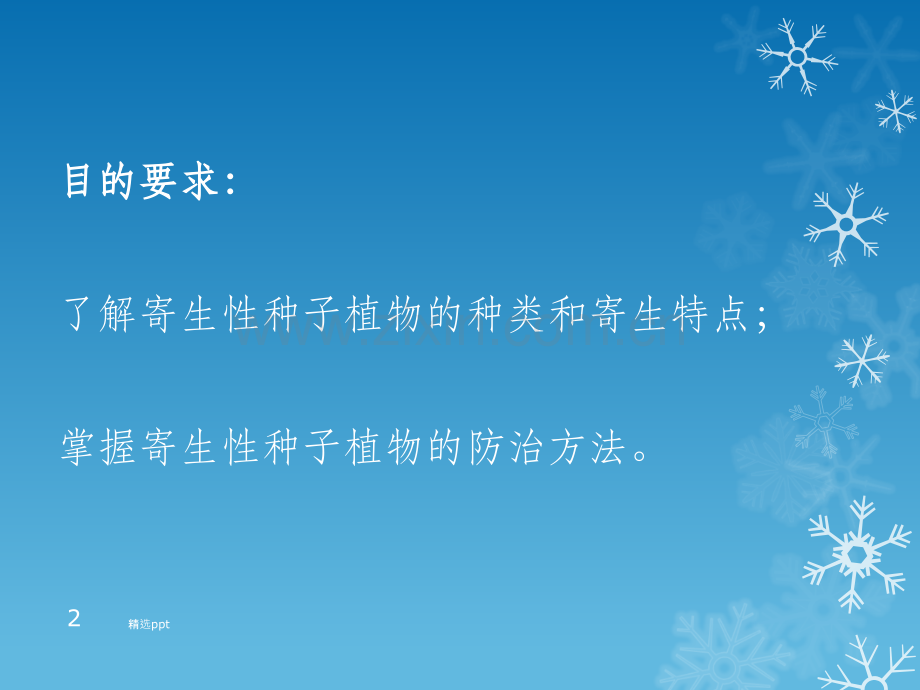寄生性种子植物.ppt_第2页
