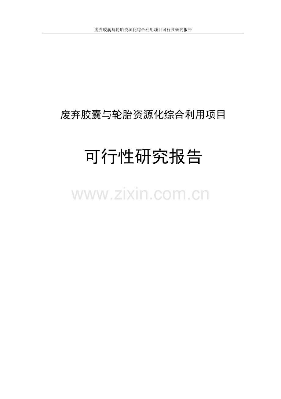 废弃胶囊和轮胎资源化综合利用项目可行性研究报告.doc_第1页
