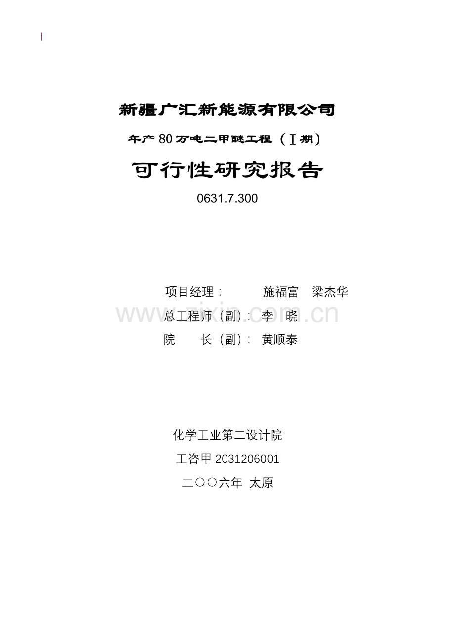 年产-80-万吨二甲醚工程ⅰ期-申请建设可研报告.doc_第2页
