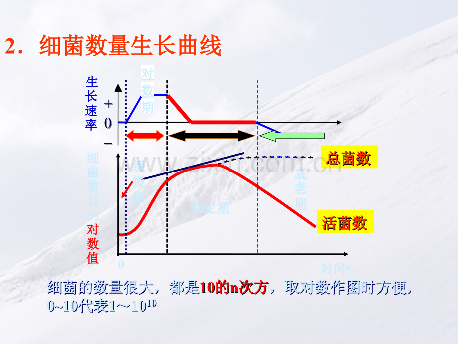 第六章微生物的生长与控制生长规律TO-学...ppt_第2页