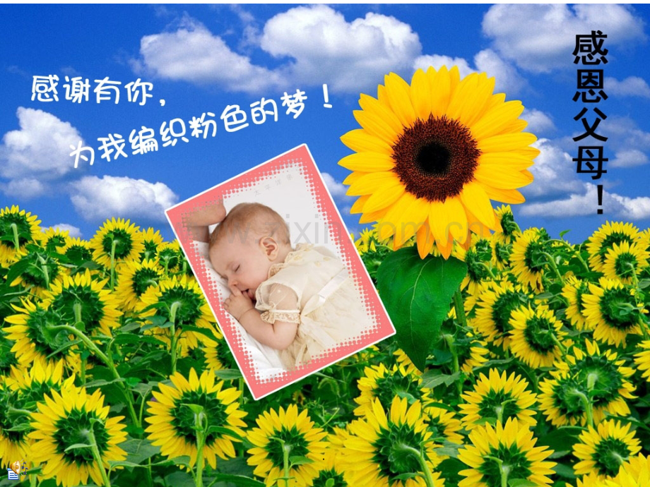 感恩父母综合实践活动.ppt_第1页