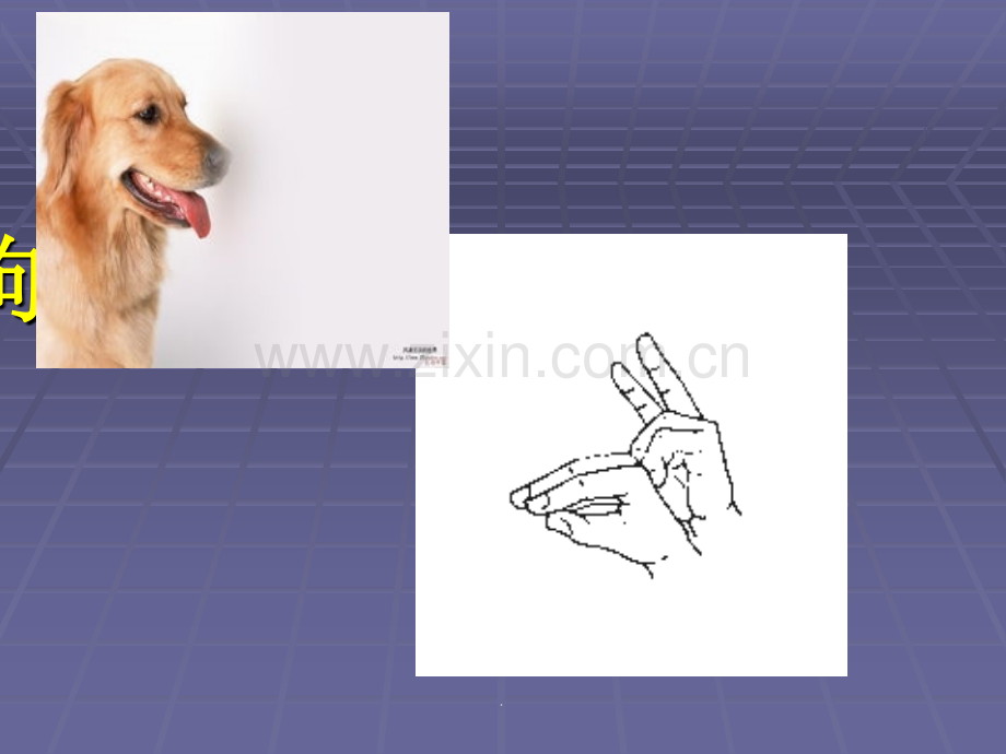常见动物手语教学PPT课件.ppt_第2页