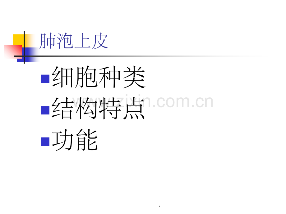 肺泡上皮.ppt_第1页