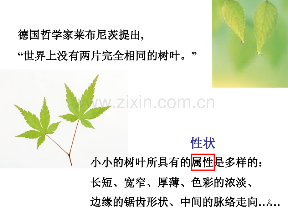生物的变异-(共41张1).ppt_第2页