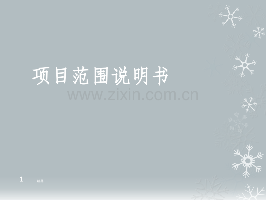 项目范围说明书.ppt_第1页