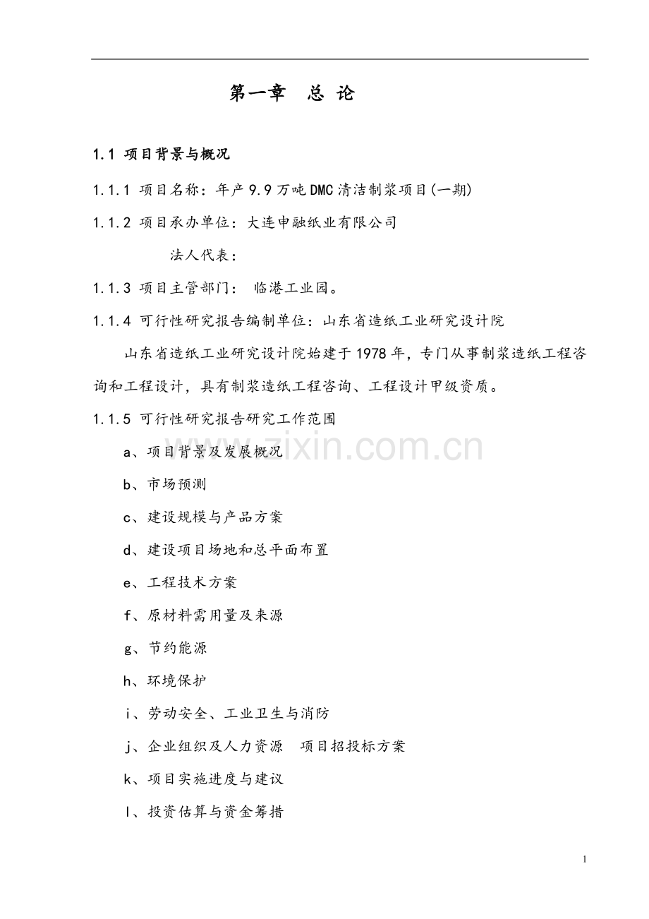 年产9.9万吨DMC清洁制浆项目可行性研究报告.doc_第1页