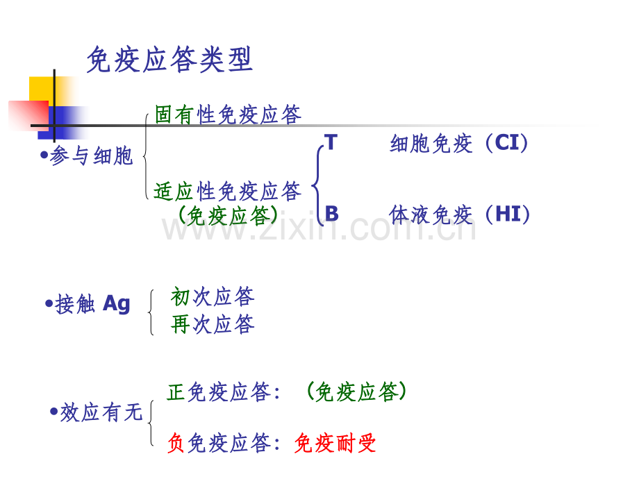 免疫耐受与免疫调节.ppt_第2页