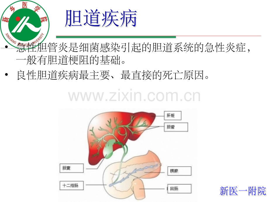 AOSC-急性梗阻化脓性胆管炎.ppt_第2页