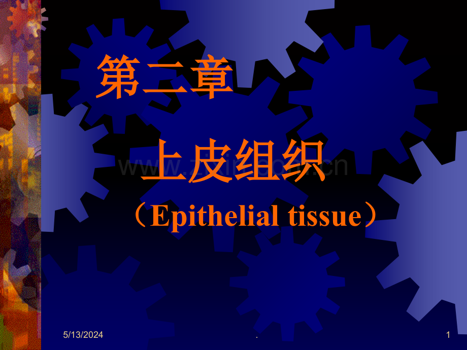 B上皮组织.ppt_第1页