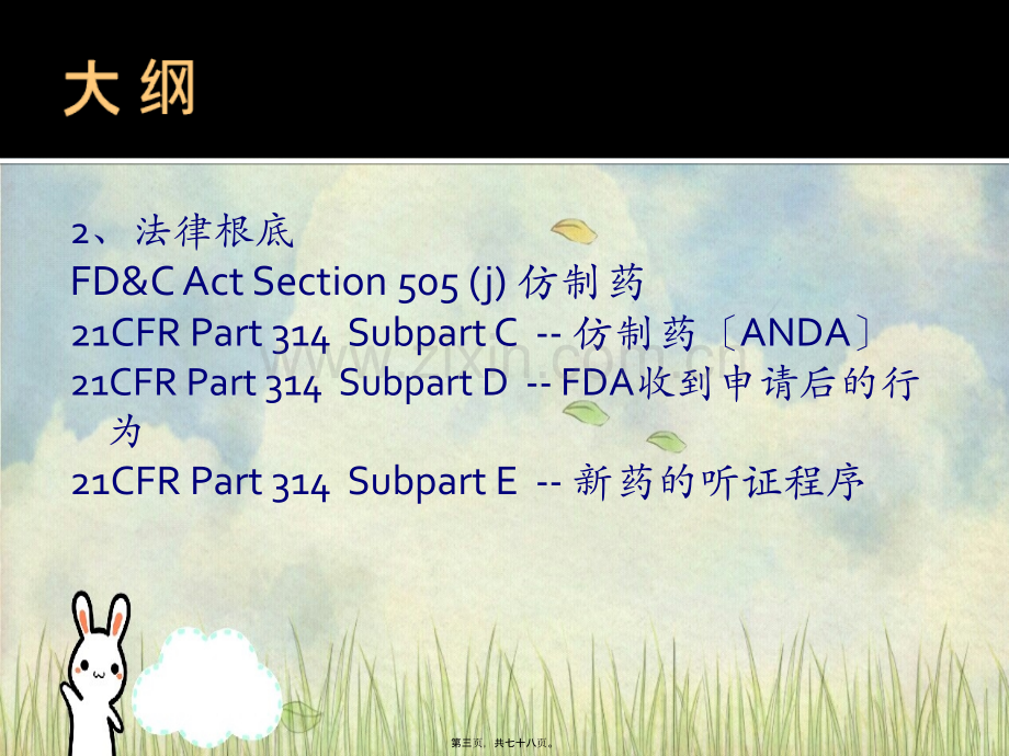 仿制药(ANDA).pptx_第2页