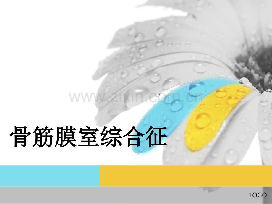 骨科我的小讲课.ppt_第1页