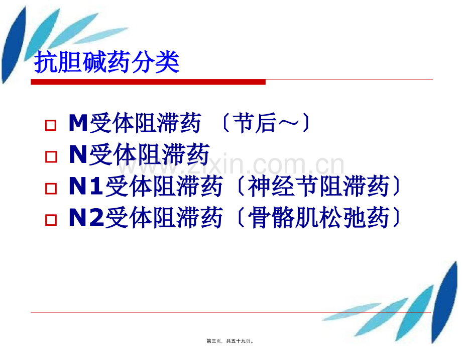 6第八章--抗胆碱药.pptx_第2页
