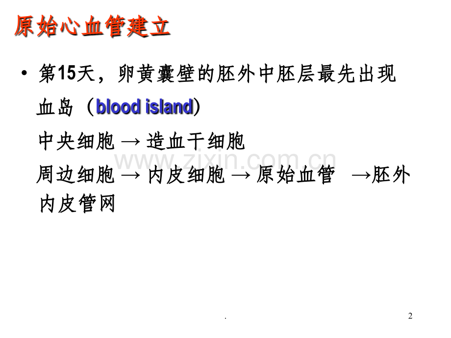 胚胎学.循环系统的发生.ppt_第2页