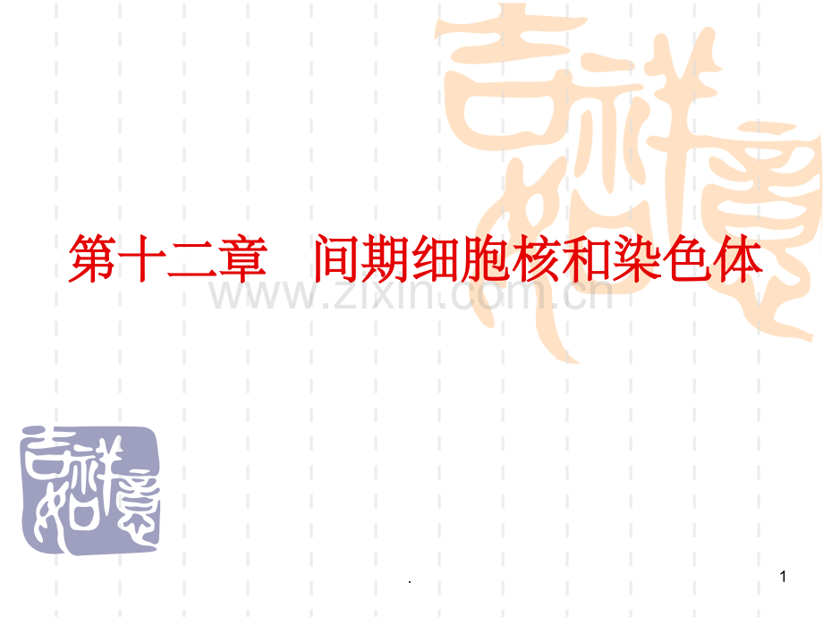 间期细胞核和染色体.ppt_第1页