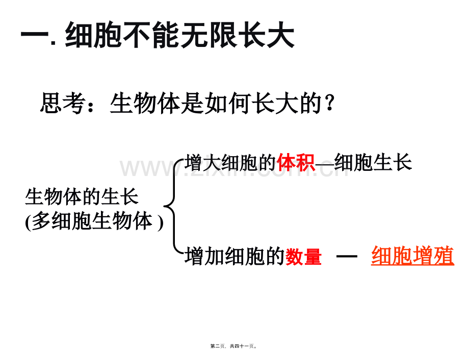 llm细胞增殖.pptx_第1页