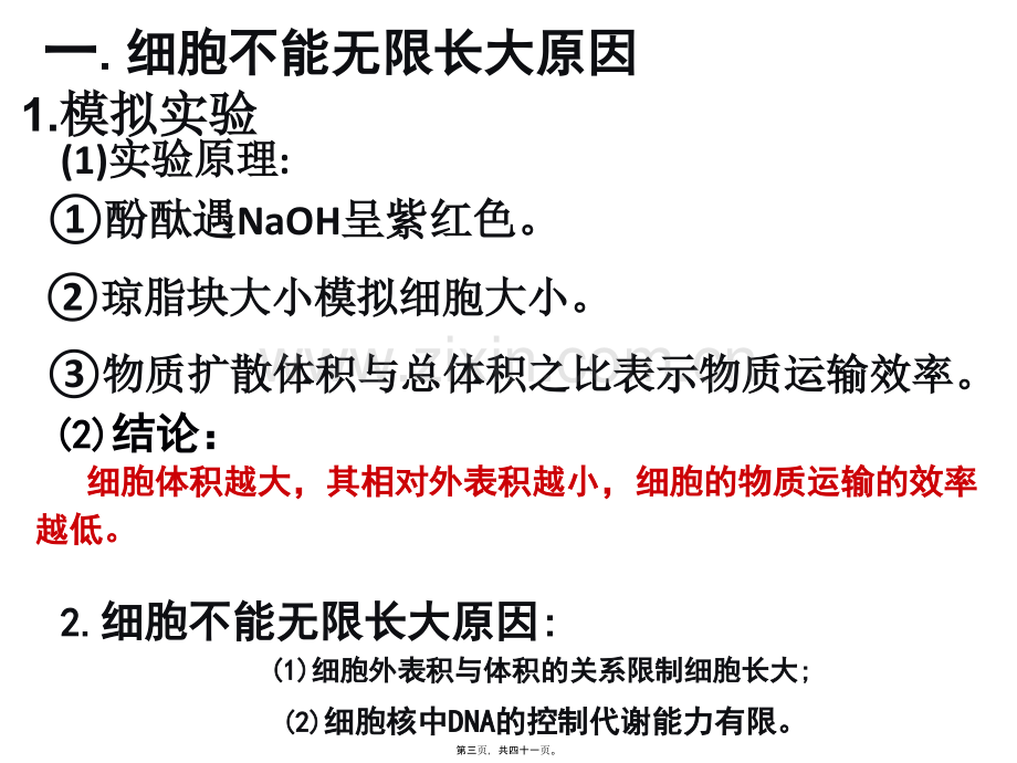 llm细胞增殖.pptx_第2页