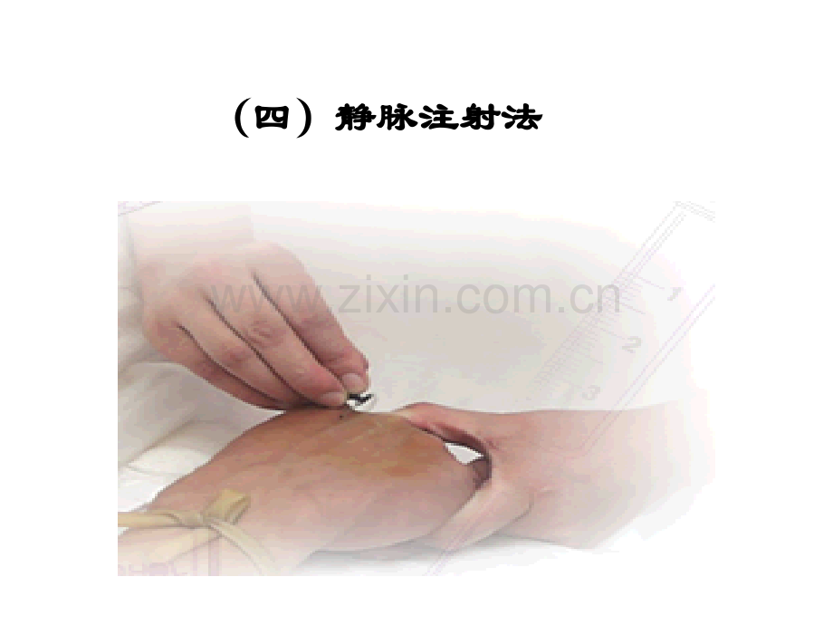 静脉、动脉注射.ppt_第1页