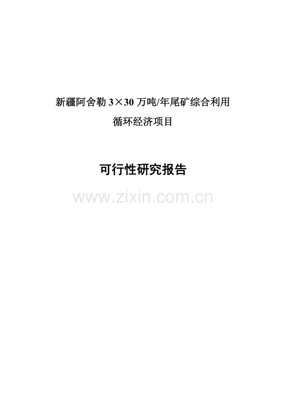 3×30万吨年尾矿综合利用循环经济项目建设投资可行性研究报告.doc_第1页