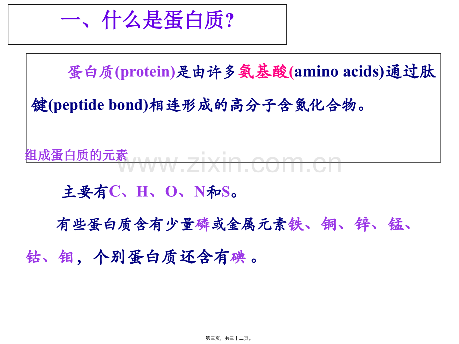 奥赛辅导---蛋白质.pptx_第2页