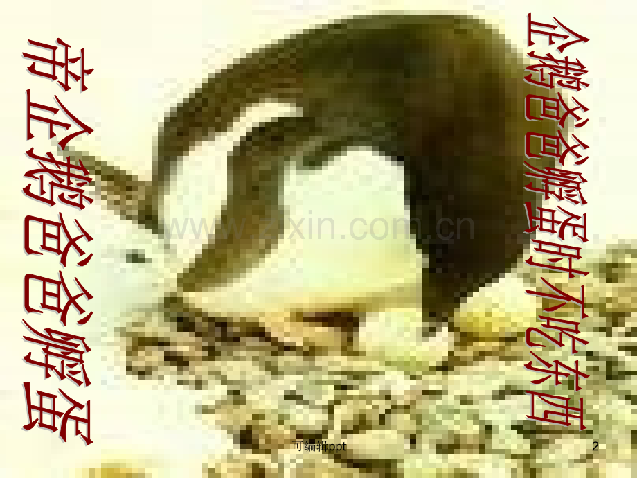 高中语文《自然》-鲁教版必修1.ppt_第2页