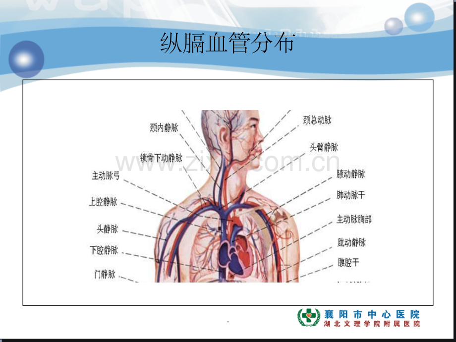 肺癌纵膈肺门淋巴结分区及CT图像ppt课件.ppt_第2页