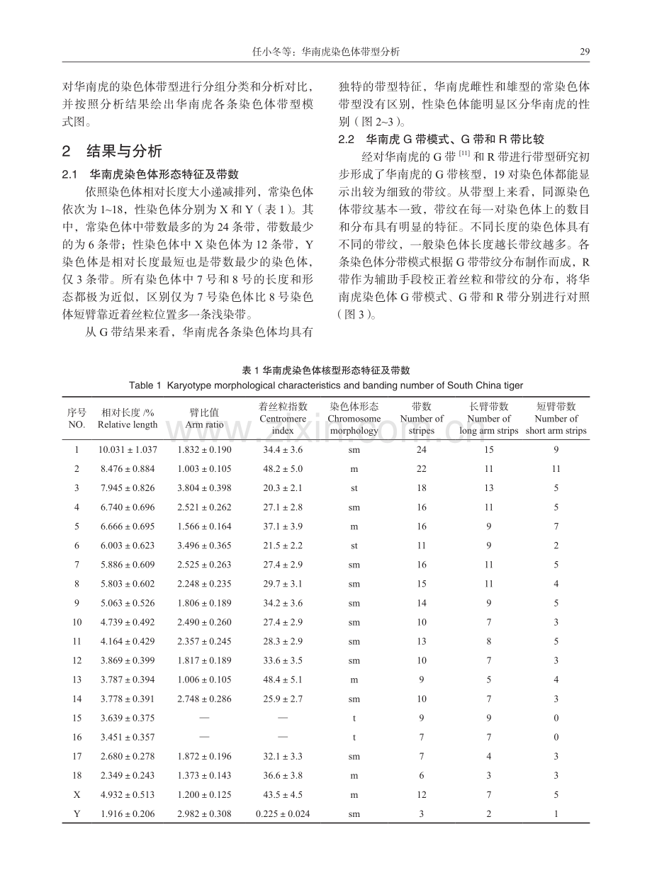 华南虎染色体带型分析.pdf_第3页