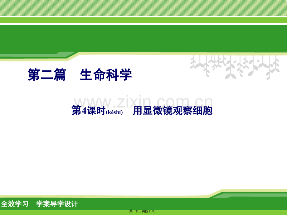 第4课时用显微镜观察细胞剖析.ppt_第1页