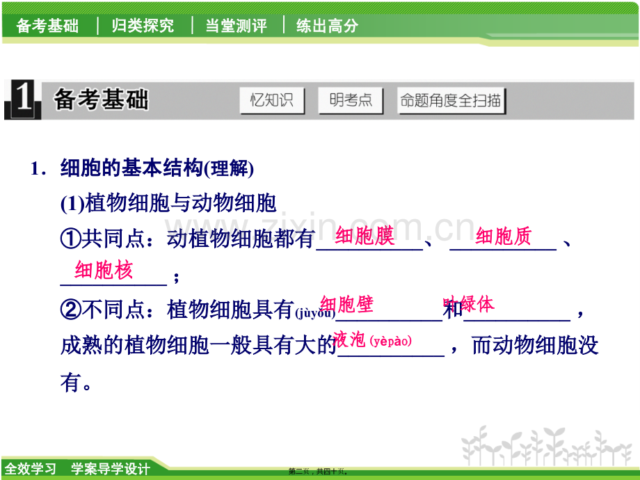 第4课时用显微镜观察细胞剖析.ppt_第2页