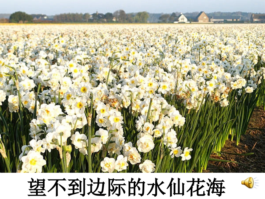 牧场之国集体备课.ppt_第1页