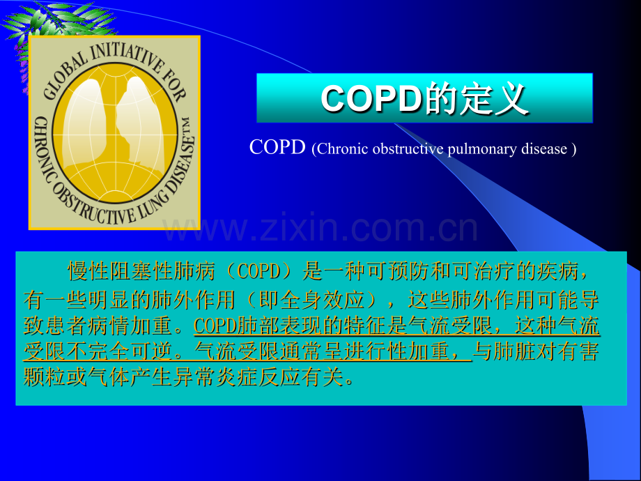 慢阻肺的护理.ppt_第2页